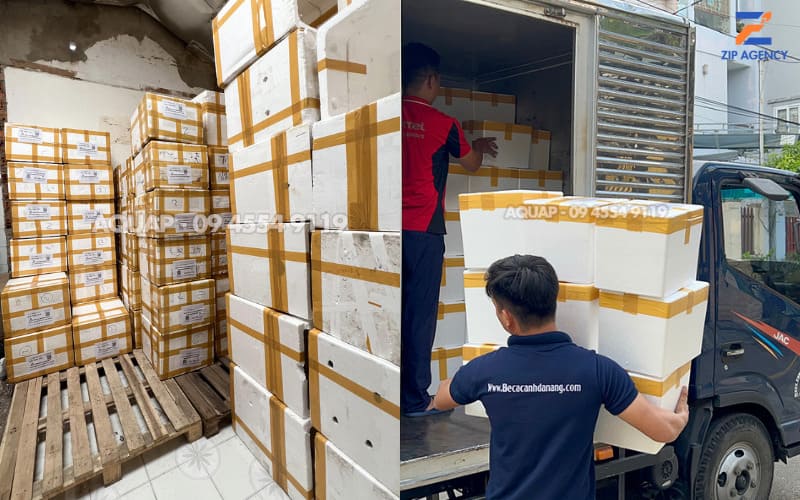 Từ website SEO lên top Google, ZIP đã tạo chuyển đổi hàng chục ngàn đơn hàng