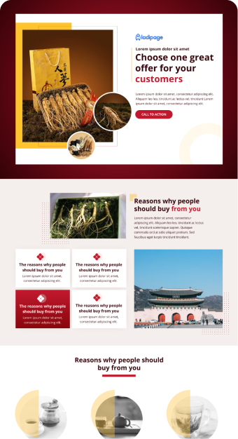 Mẫu website Ladipage 05