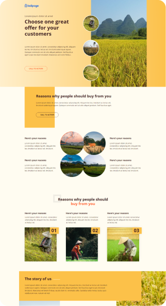 Mẫu website Ladipage 10