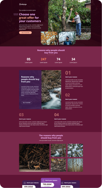 Mẫu website Ladipage 03