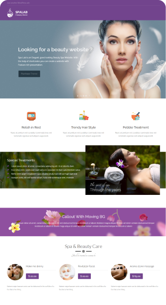 Mẫu website Spa 04